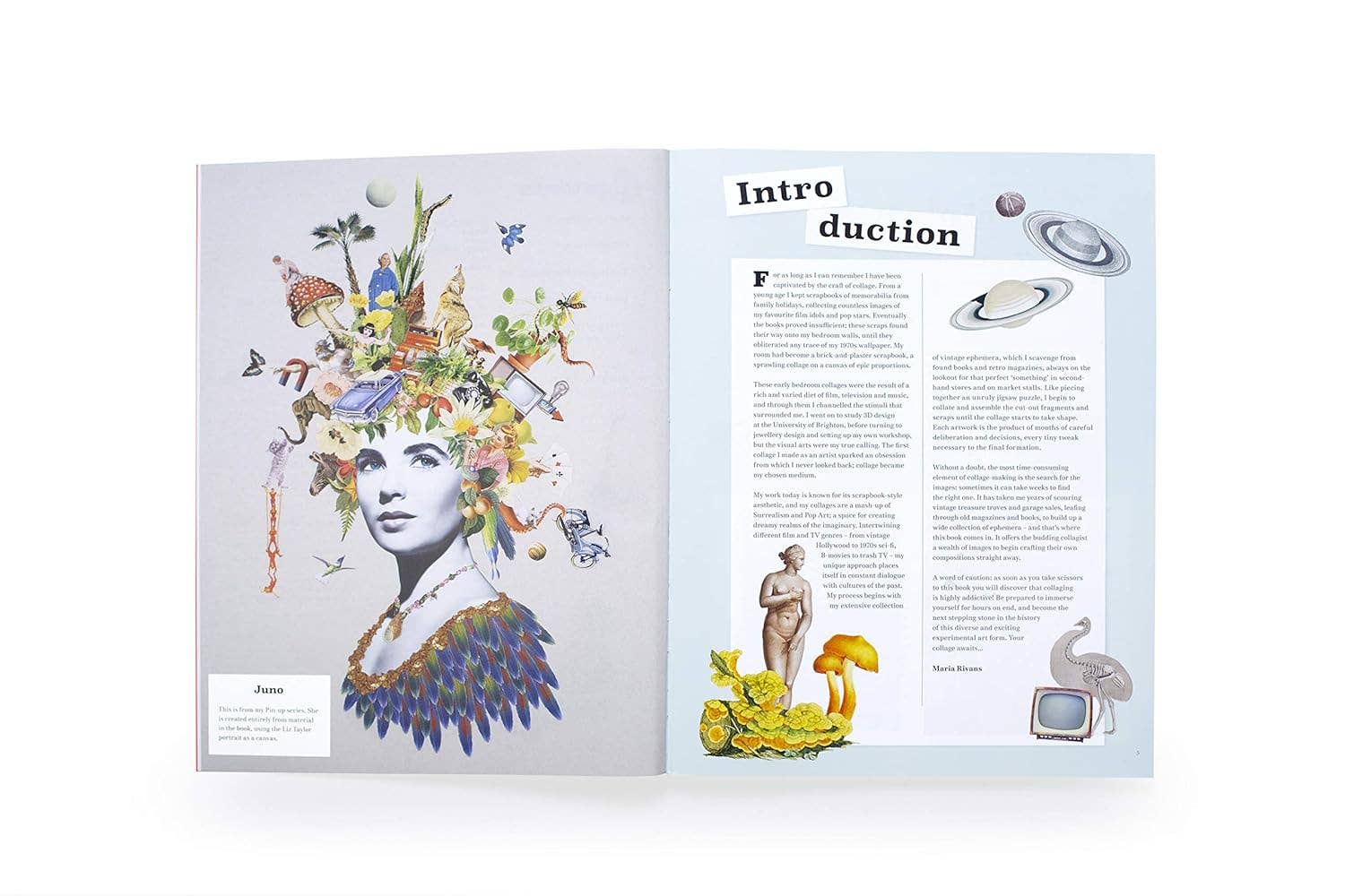 Extraordinary Things to Cut Out and Collage, Vintage-Inspired Images for Vision Boards, Cards & Creative Projects
