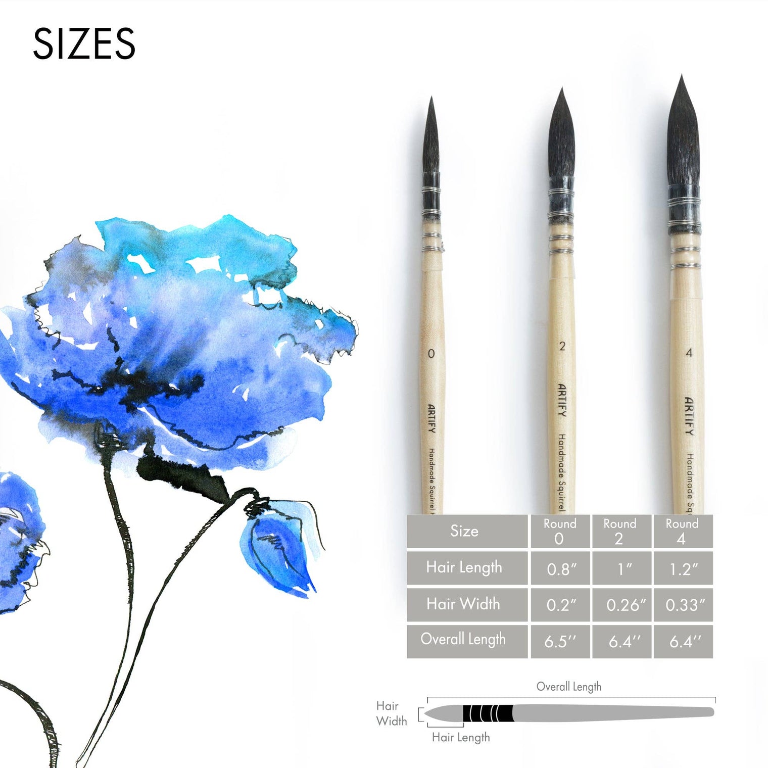ARTIFY Professional Squirrel Hair Watercolor Brush Set – Sizes 0, 2, 4