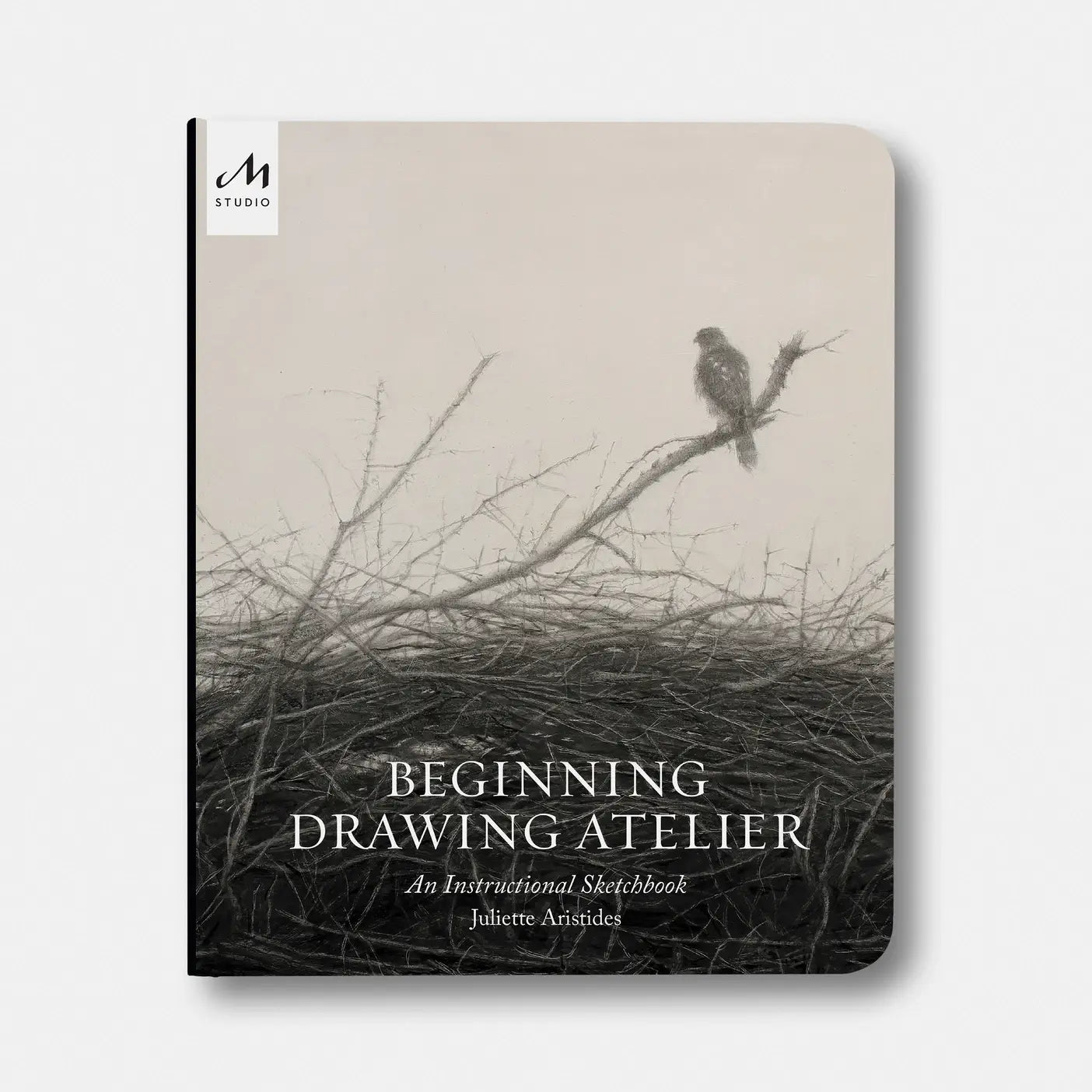 Beginning Drawing Atelier: An Instructional Sketchbook, Drawing Workbook for Developing Foundational Art Skills