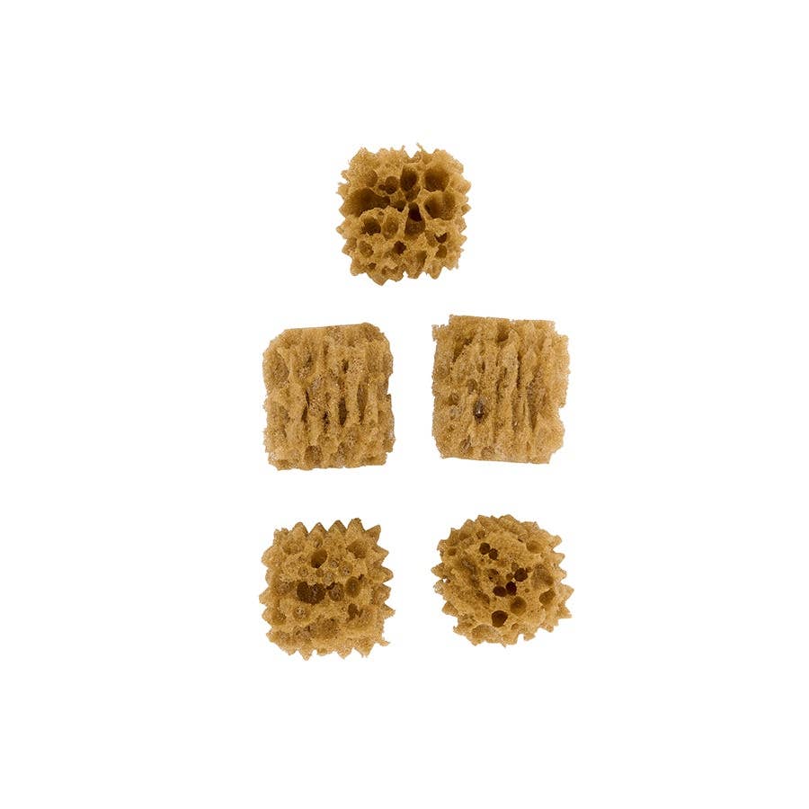 FolkArt Sponge Value Pack – Painting Tool Set (5 Piece Synthetic Sea Sponges)