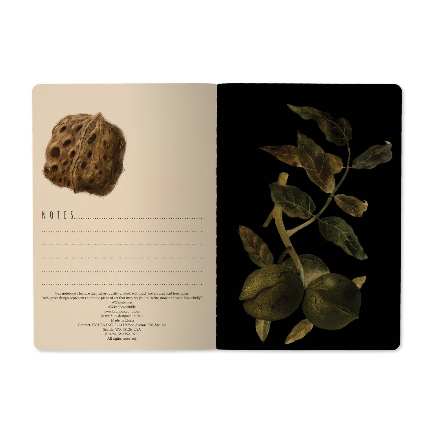 Night Garden Notebook – Ruled Journal 8.27 x 5.83 in, 40 Pages, BV by Bruno Visconti