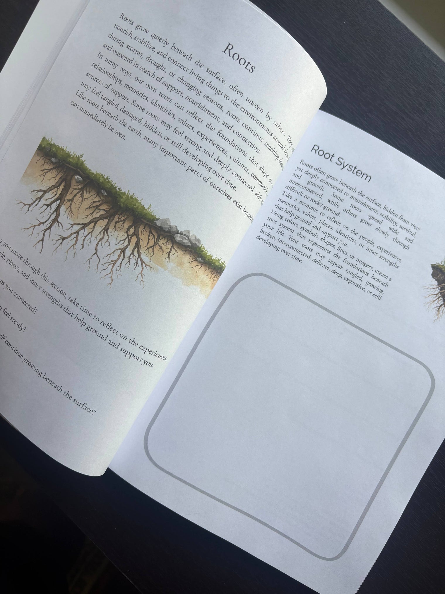 Grounded: A Nature Inspired Art Therapy Workbook for Reflection, Creativity & Emotional Wellness, Guided Art Therapy & Mindfulness Workbook