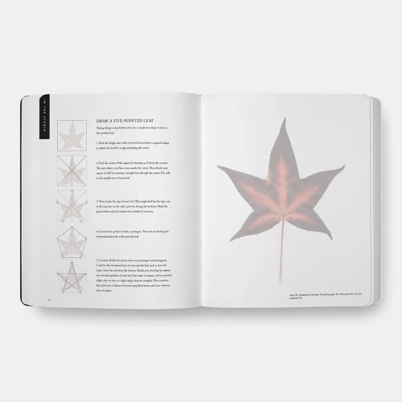 Beginning Drawing Atelier: An Instructional Sketchbook, Drawing Workbook for Developing Foundational Art Skills