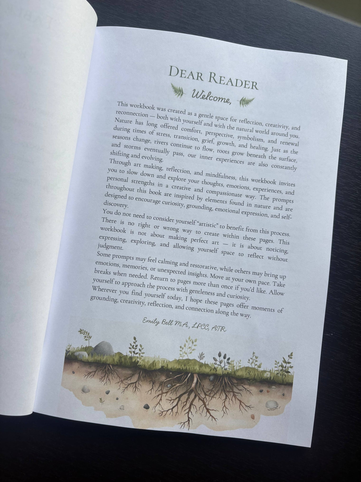 Grounded: A Nature Inspired Art Therapy Workbook for Reflection, Creativity & Emotional Wellness, Guided Art Therapy & Mindfulness Workbook