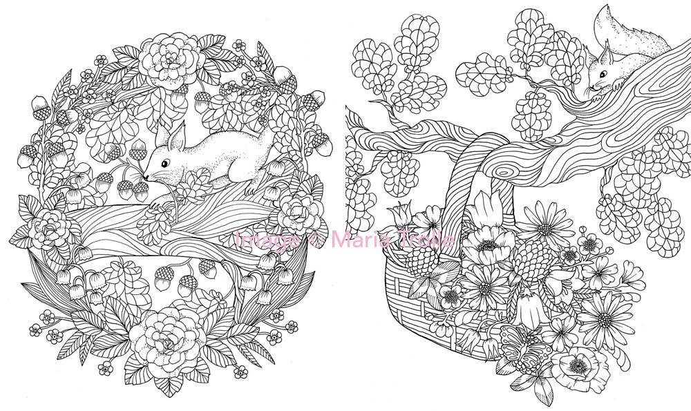 Twilight Garden Coloring Book – Hardcover Coloring Book by Maria Trolle (96 Pages)