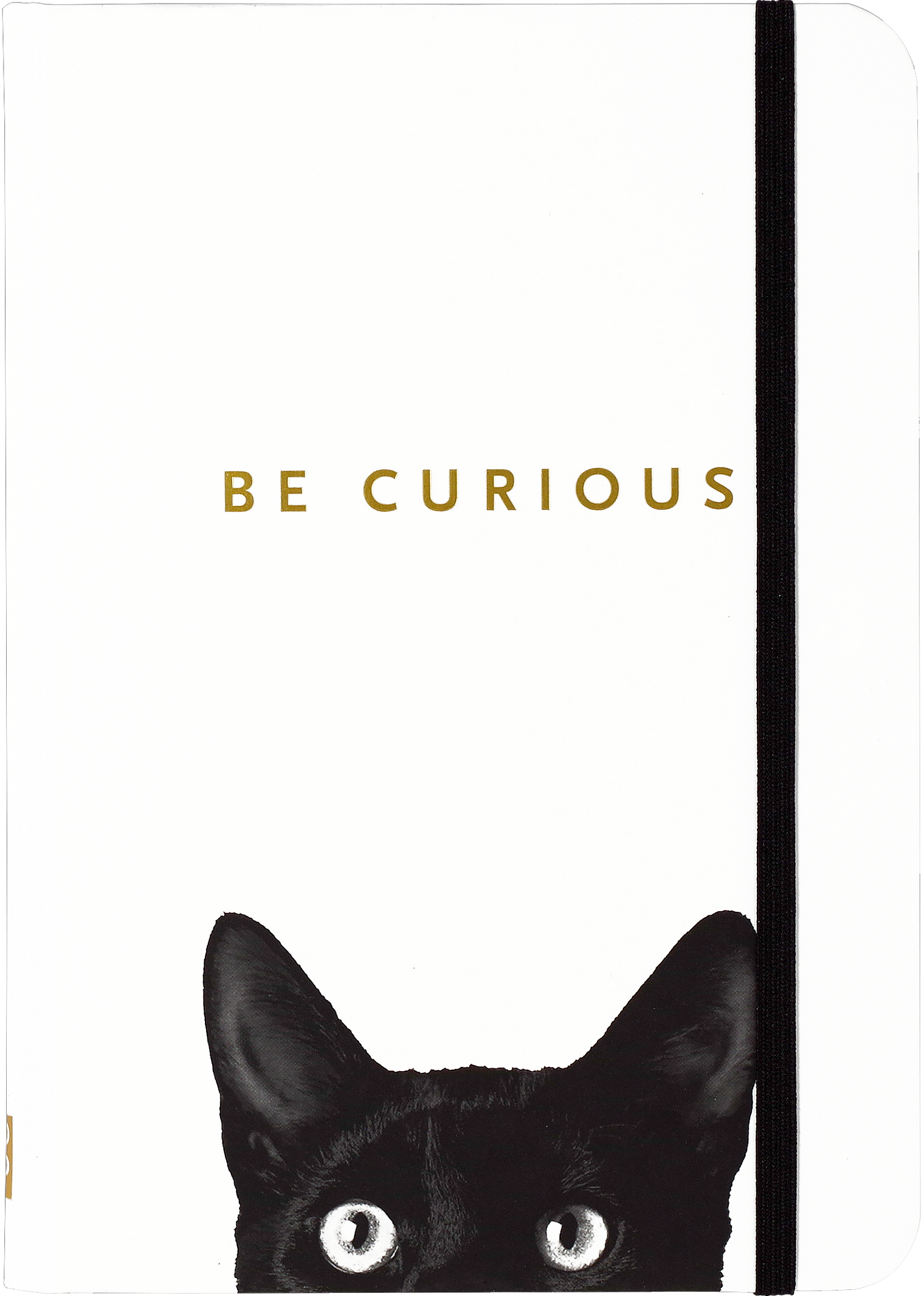Curious Cat Journal 5 x 7 – 160 Pages Archival Lined Hardcover Notebook