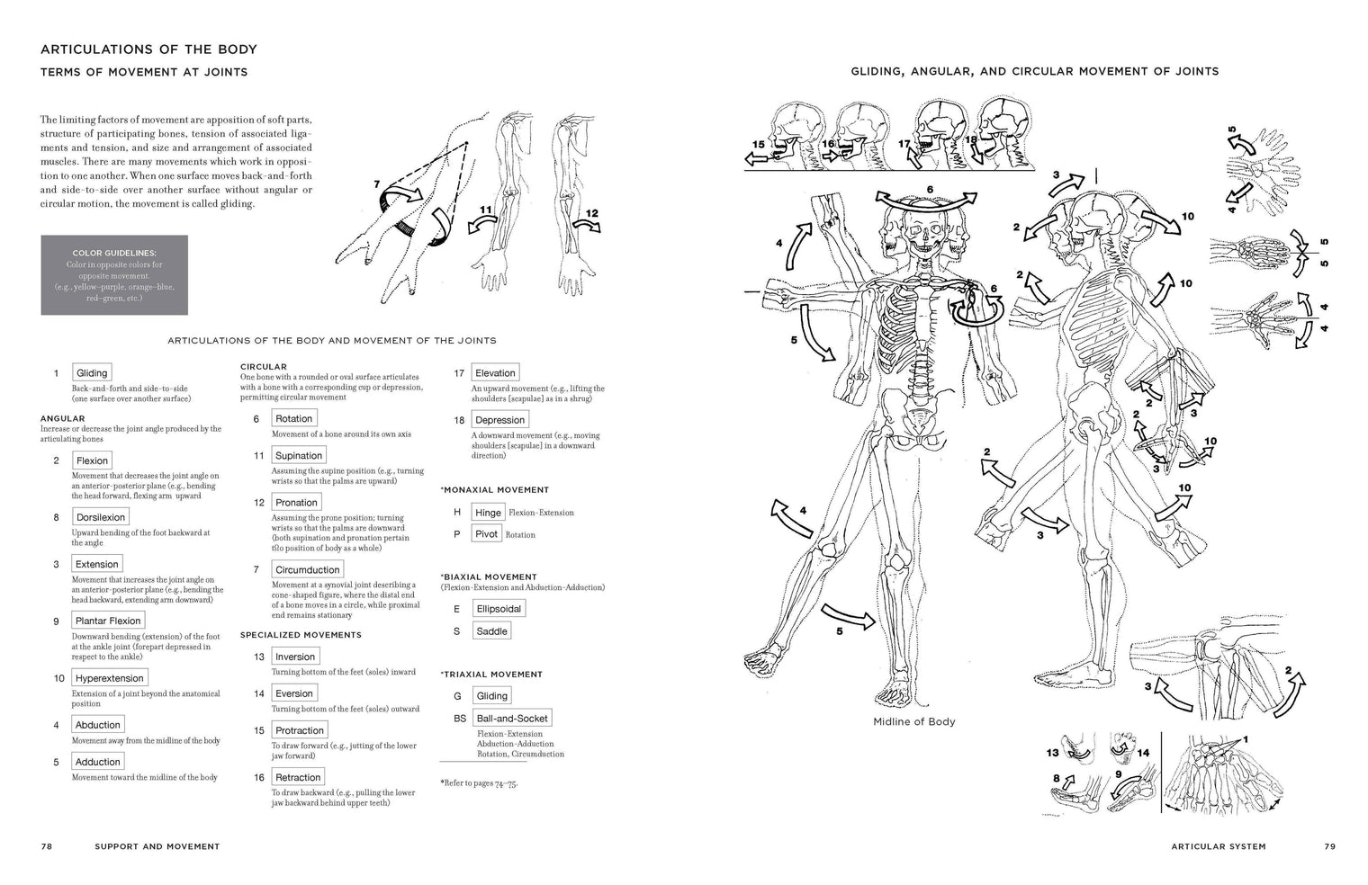 McMurtrie’s Human Anatomy Coloring Book – Educational Anatomy Study & Coloring Book