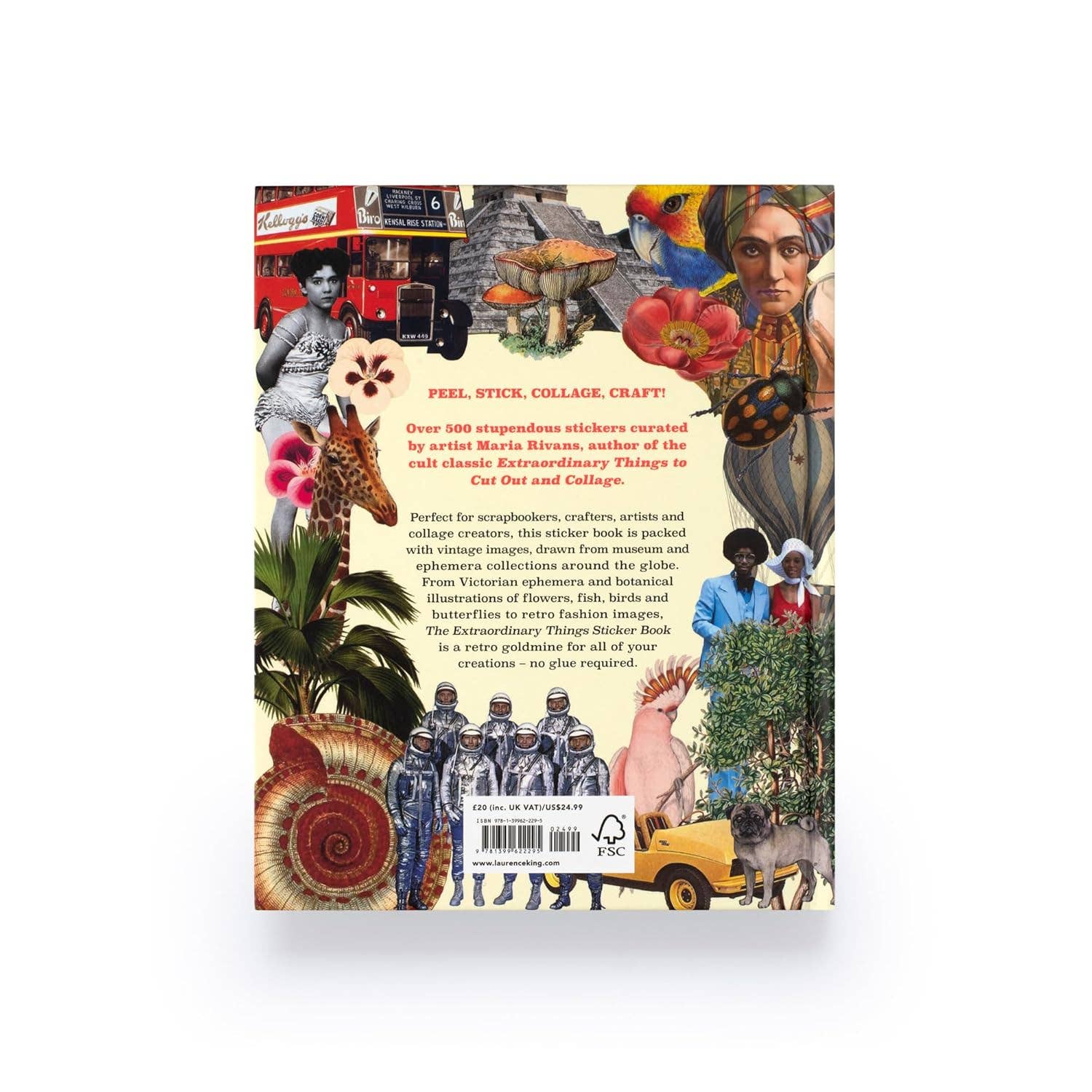 Extraordinary Things Sticker Book, 1,000+ Vintage & Art-Inspired Stickers for Collage, Journaling & Crafts