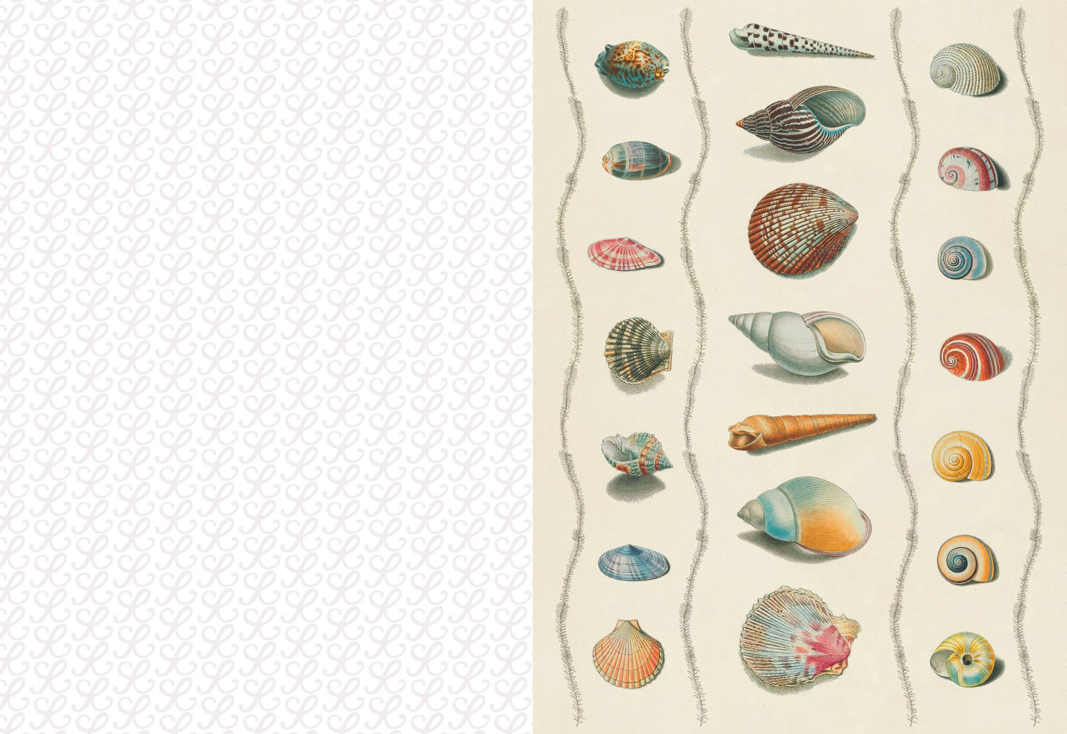 Collage Compendium, Vintage Ephemera Collection with 2,000 Images for Collage, Journaling & Paper Crafts