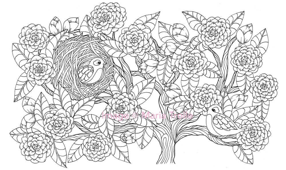 Twilight Garden Coloring Book – Hardcover Coloring Book by Maria Trolle (96 Pages)