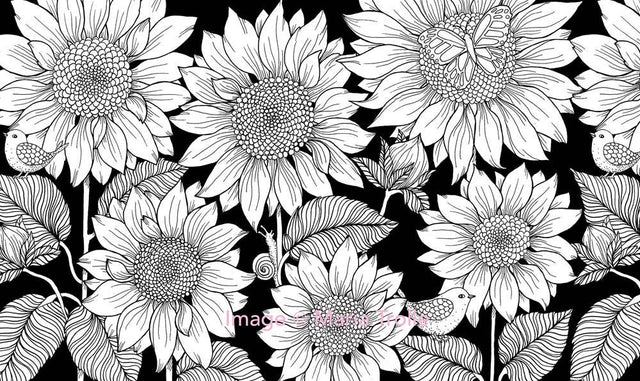 Twilight Garden Coloring Book – Hardcover Coloring Book by Maria Trolle (96 Pages)