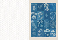 Collage Compendium, Vintage Ephemera Collection with 2,000 Images for Collage, Journaling & Paper Crafts