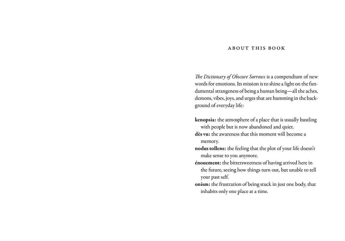 The Dictionary of Obscure Sorrows – John Koenig, Hardcover