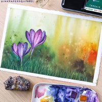 Art Philosophy Watercolor Confections – Terrain Watercolor Paint Set (12 Colors Tin)