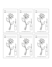 Just Swatch Me™ - Paint Swatch Card Template (Digital Downloads_ Style 05)