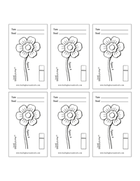 Just Swatch Me™ - Paint Swatch Card Template (Digital Downloads_ Style 07)