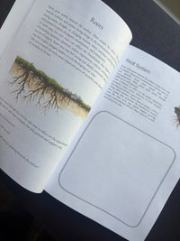 Grounded: A Nature Inspired Art Therapy Workbook for Reflection, Creativity & Emotional Wellness, Guided Art Therapy & Mindfulness Workbook