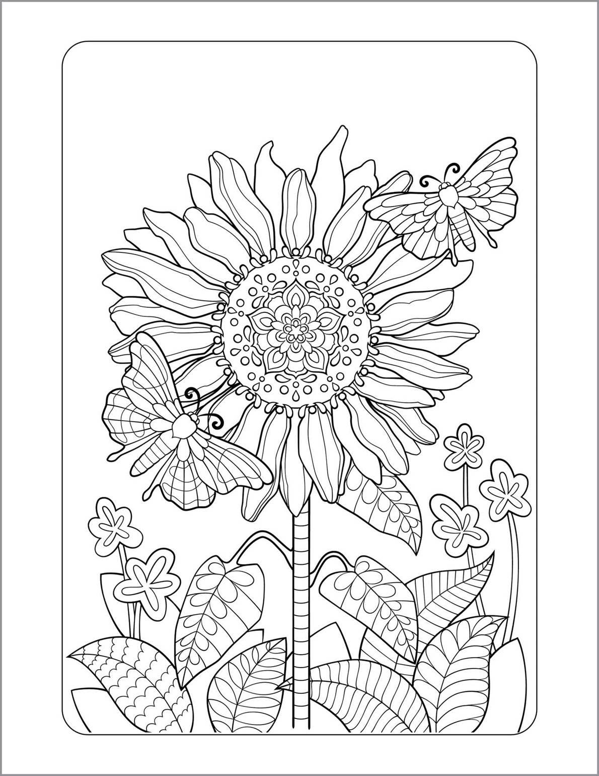 Anxiety Relief Coloring Book for Adults – Mindfulness Coloring Book with 35 Designs