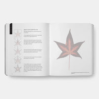 Beginning Drawing Atelier: An Instructional Sketchbook, Drawing Workbook for Developing Foundational Art Skills