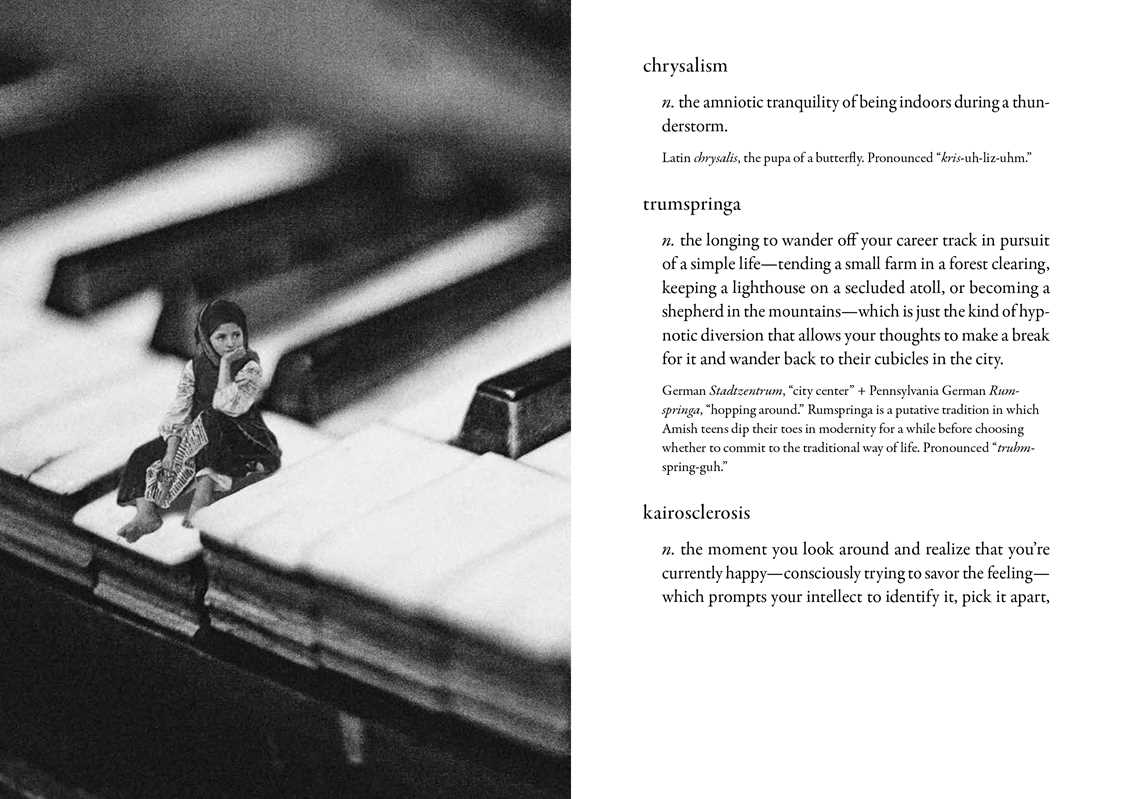 The Dictionary of Obscure Sorrows – John Koenig, Hardcover