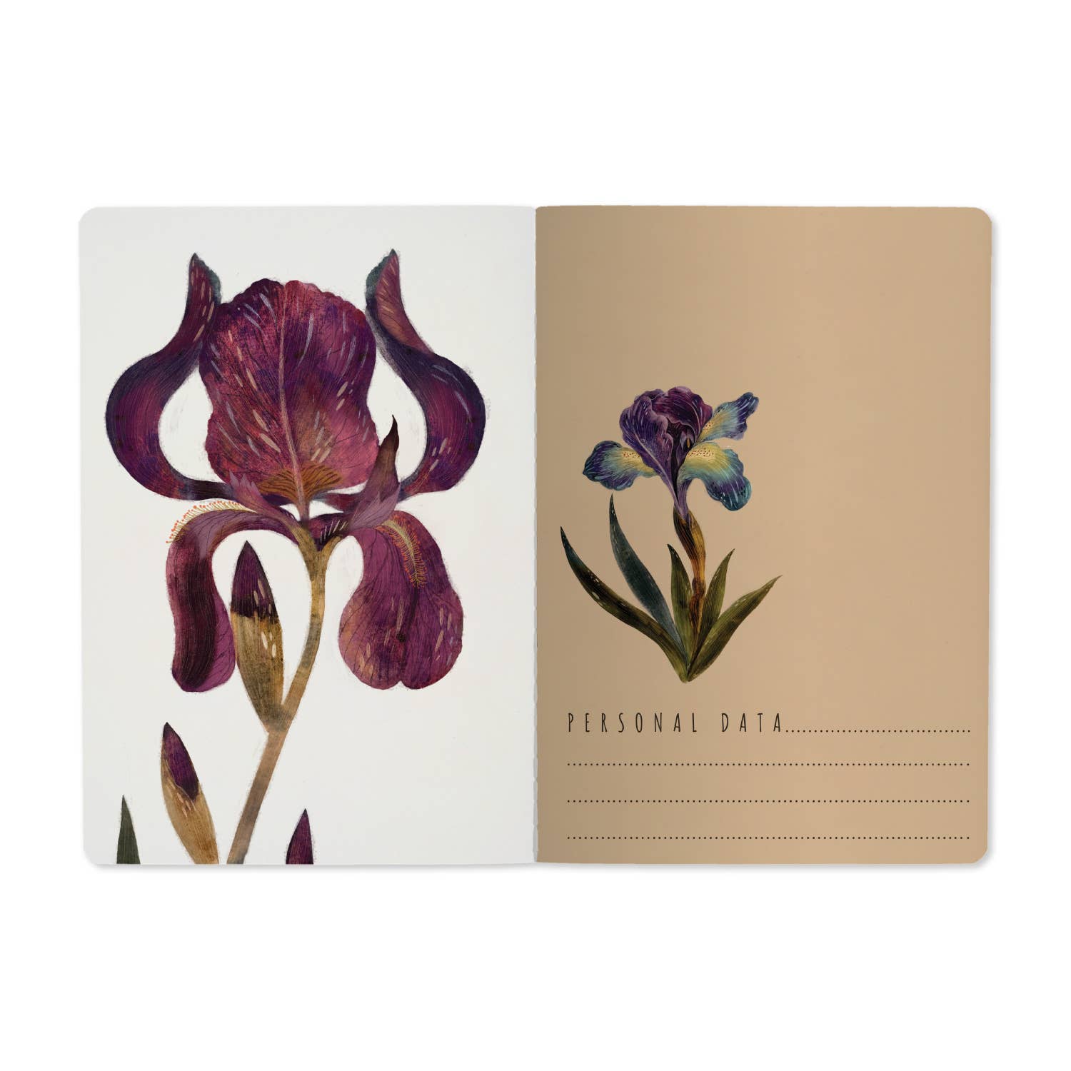 Irises Notebook, Lined Journal with Artistic Floral Cover by BV by Bruno Visconti