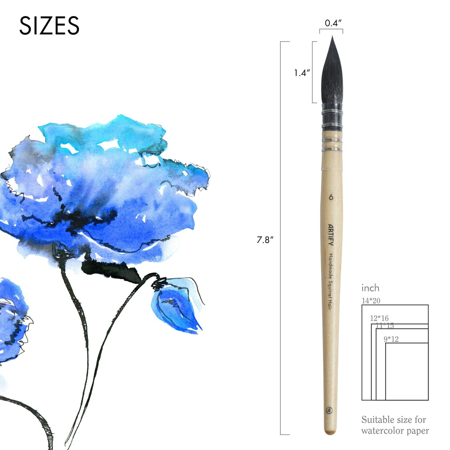 ARTIFY Professional Squirrel Hair Watercolor Brush Set – Sizes 0, 2, 4