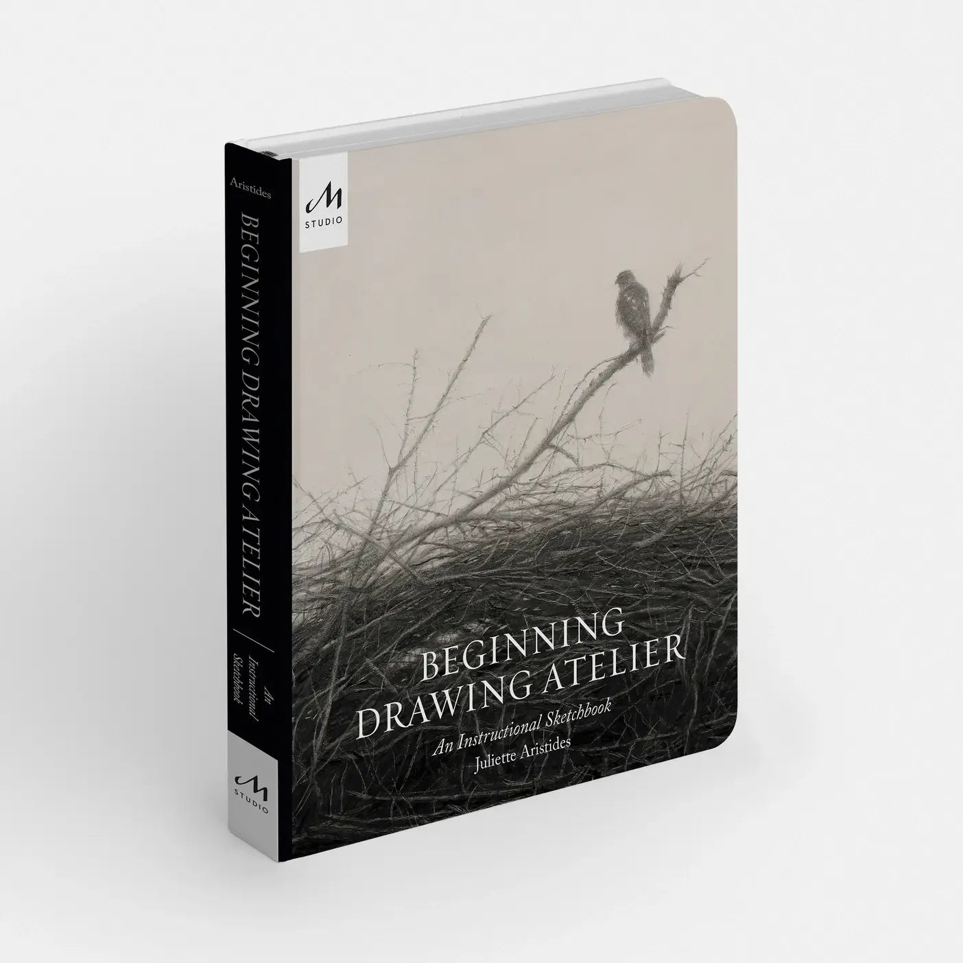 Beginning Drawing Atelier: An Instructional Sketchbook, Drawing Workbook for Developing Foundational Art Skills