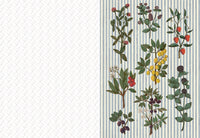 Collage Compendium, Vintage Ephemera Collection with 2,000 Images for Collage, Journaling & Paper Crafts