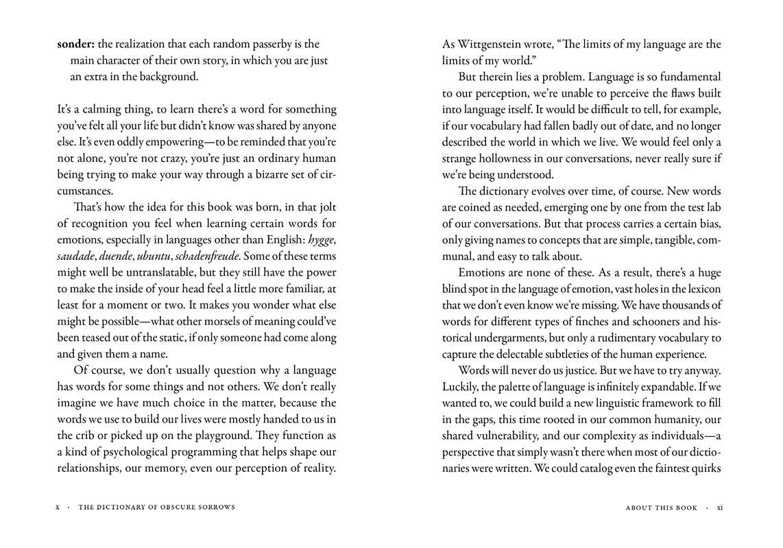 The Dictionary of Obscure Sorrows – John Koenig, Hardcover