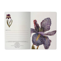 Irises Notebook, Lined Journal with Artistic Floral Cover by BV by Bruno Visconti