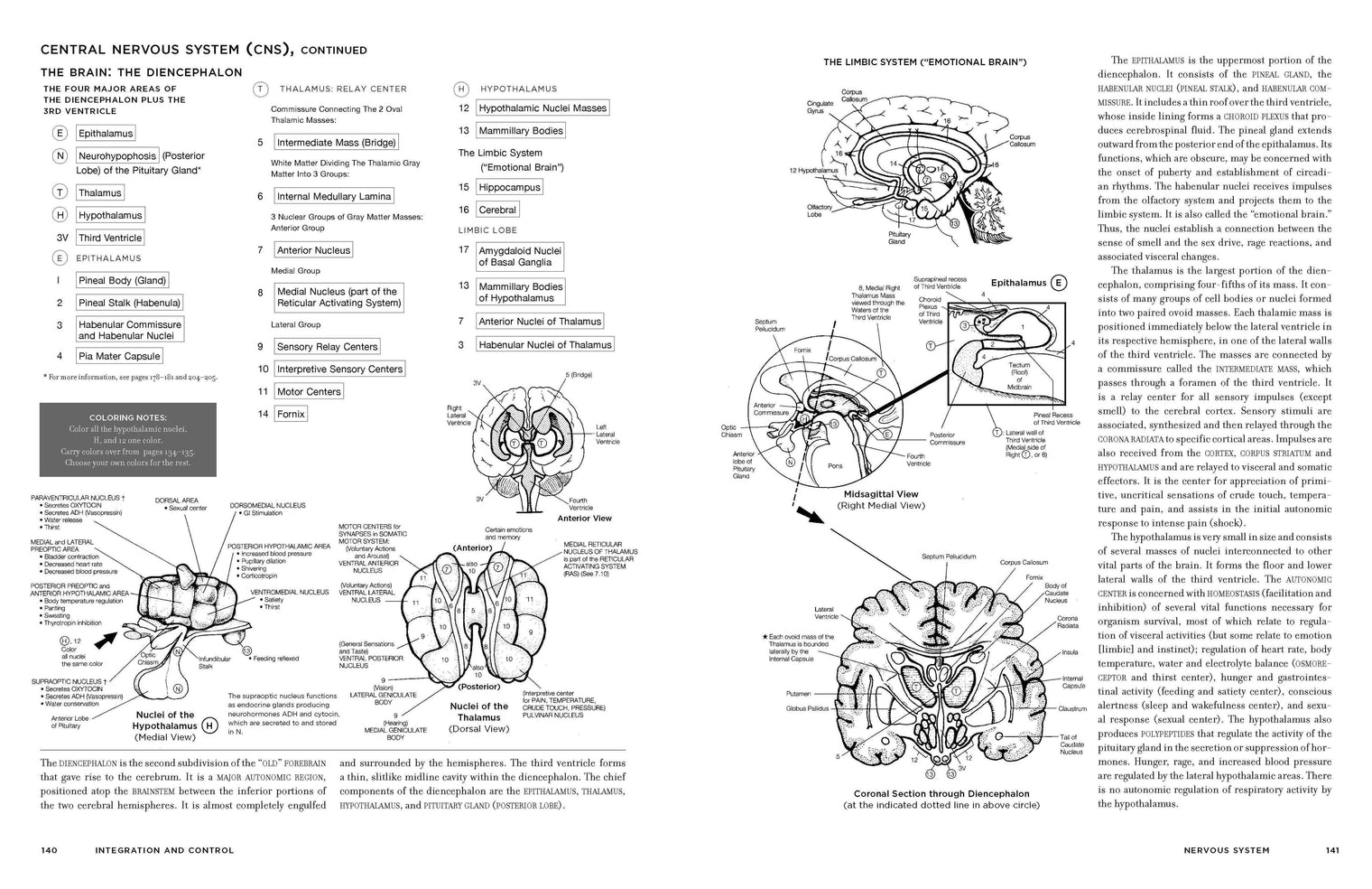 McMurtrie’s Human Anatomy Coloring Book – Educational Anatomy Study & Coloring Book