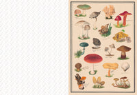 Collage Compendium, Vintage Ephemera Collection with 2,000 Images for Collage, Journaling & Paper Crafts